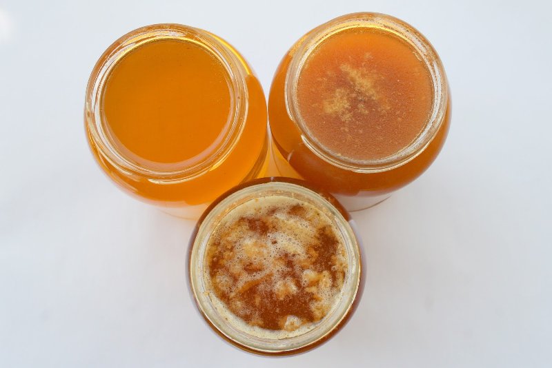 Korzyści z jedzenia miodu