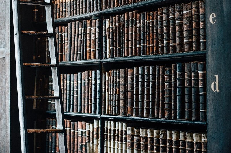 Nasza ukochana skandynawska literatura